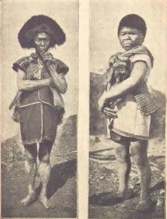 Сергей Дмитриев - В заоблачной стране