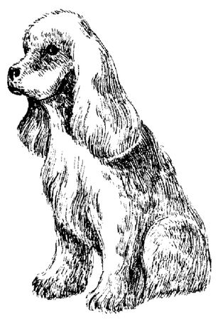 Марина Куропаткина - Американский кокер-спаниель