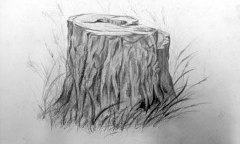 Н. Киселева - Изобразительное искусство Алтайского края. История,...