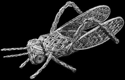 Владимир Онищенко - Изделия из лозы