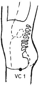 Ши Децянь, Алексей Маслов - Гимнастика Бодхидхармы