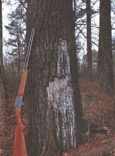 Сергей Алексеев - Ох, охота!