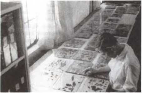 Джеймс Вандеркам - Свитки Мертвого моря. Долгий путь к разгадке