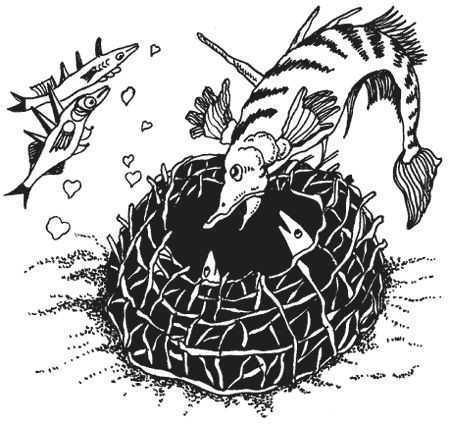 Милена Сигаева - Странности животной сексуальности. Как они делают это...?