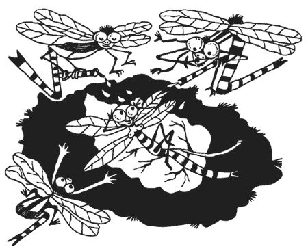 Милена Сигаева - Странности животной сексуальности. Как они делают это...?