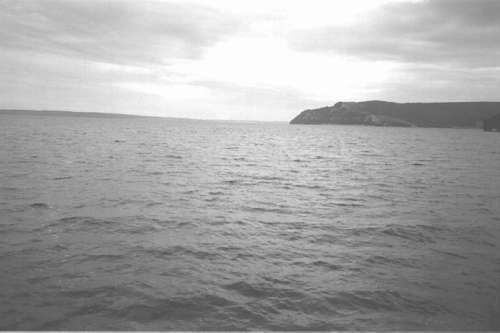 Сборник, Александр Копытин - Фототерапия: использование фотографий в...