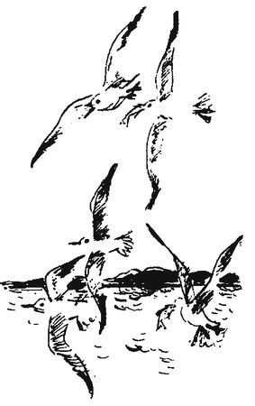 Александр Линевский - Листы каменной книги