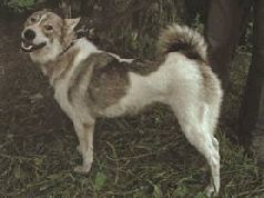 Сергей Алексеев - Ох, охота!