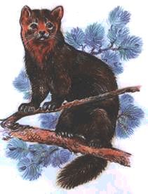 Сергей Алексеев - Ох, охота!