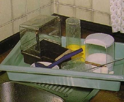 Хорст Бильфельд - Волнистые попугаи