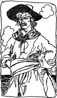 Говард Пайл - Пираты южных морей