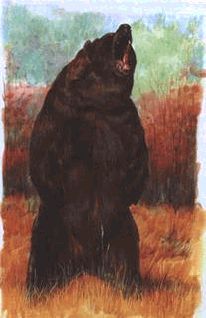 Сергей Алексеев - Ох, охота!