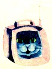 Владимир Воробьев - Капризка