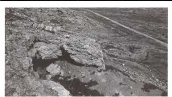 Джеймс Вандеркам - Свитки Мертвого моря. Долгий путь к разгадке