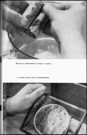 Рудольф Бершадский - Две повести о тайнах истории