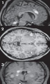 Владимир Журавлев - Чего хотят женщины