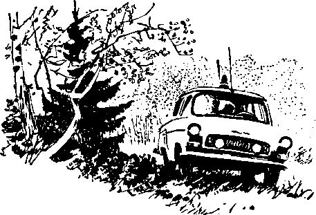 Анатолий Жаренов - Парадокс великого Пта