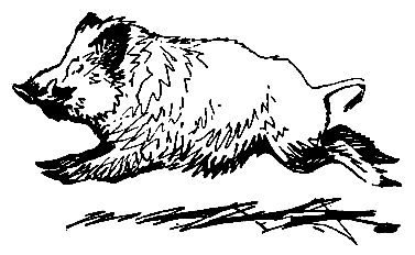 Сергей Кондратьев - Необычные случаи на охоте и рыбной ловле