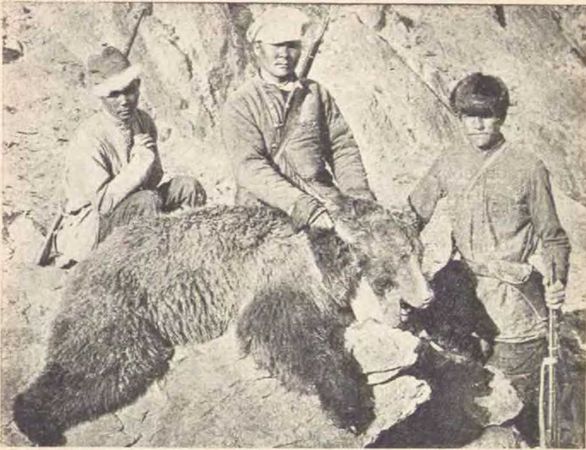 Сергей Дмитриев - В заоблачной стране