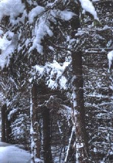 Сергей Алексеев - Ох, охота!