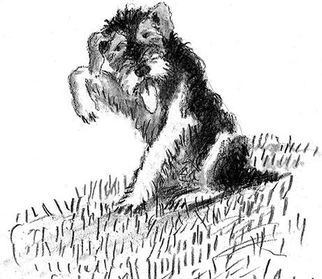 Наталья Нусинова - Приключения Джерика