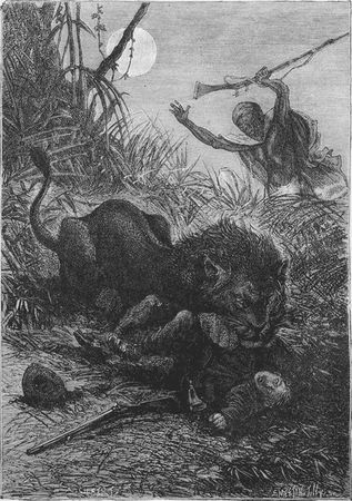 Гастон Тиссандье - Мученики науки