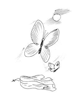 Роман Доля - Медитации на каждый день. Раскрытие внутренних способностей