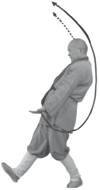 Ши Децянь, Алексей Маслов - Гимнастика Бодхидхармы