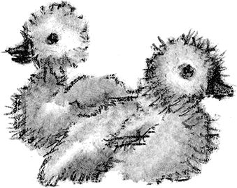 Наталья Нусинова - Приключения Джерика