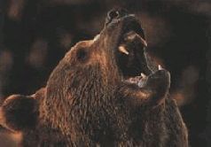 Сергей Алексеев - Ох, охота!