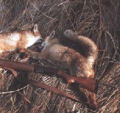 Сергей Алексеев - Ох, охота!