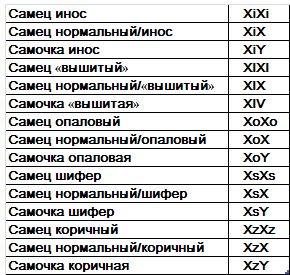 Хорст Бильфельд - Волнистые попугаи