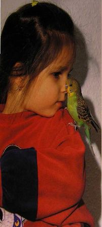 Хорст Бильфельд - Волнистые попугаи