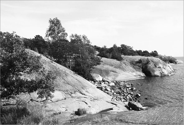 Владимир Шигин - Гангут. Первая победа российского флота