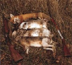 Сергей Алексеев - Ох, охота!