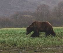 Сергей Алексеев - Ох, охота!
