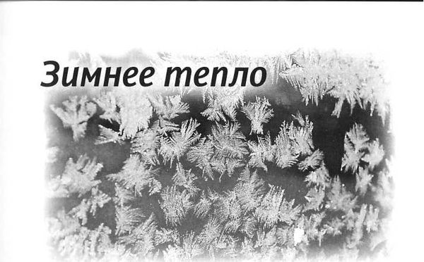 Алексей Лисняк - "Сашина философия" и другие рассказы