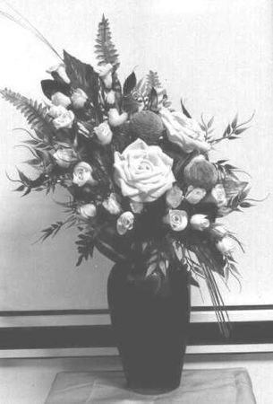 Сборник, Александр Копытин - Фототерапия: использование фотографий в...