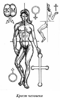 Александр Белов - Тайная родословная человека. Загадка превращения людей в животных