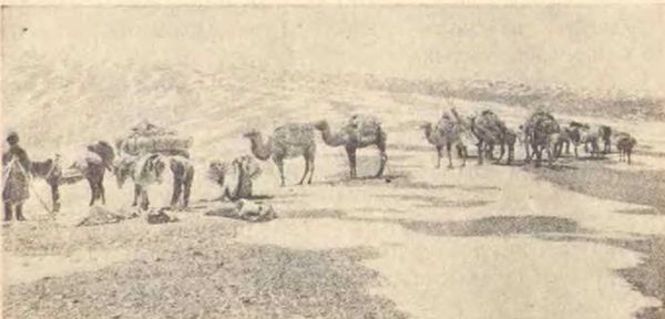 Сергей Дмитриев - В заоблачной стране