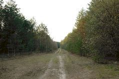 Сергей Алексеев - Ох, охота!