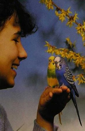 Хорст Бильфельд - Волнистые попугаи