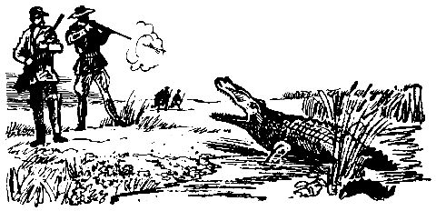 Жюль Верн - Плавучий остров. Вверх дном