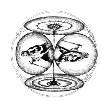 Роман Доля - Медитации на каждый день. Раскрытие внутренних способностей