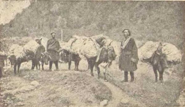 Сергей Дмитриев - В заоблачной стране