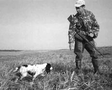 Екатерина Константинова - Русский охотничий спаниель