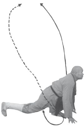 Ши Децянь, Алексей Маслов - Гимнастика Бодхидхармы