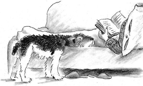 Наталья Нусинова - Приключения Джерика