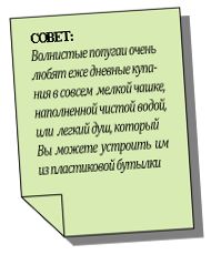 Хорст Бильфельд - Волнистые попугаи