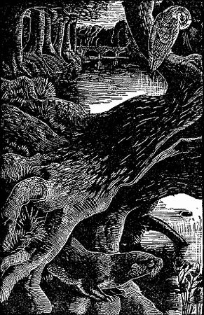 Генри Уильямсон - Выдра по имени Тарка